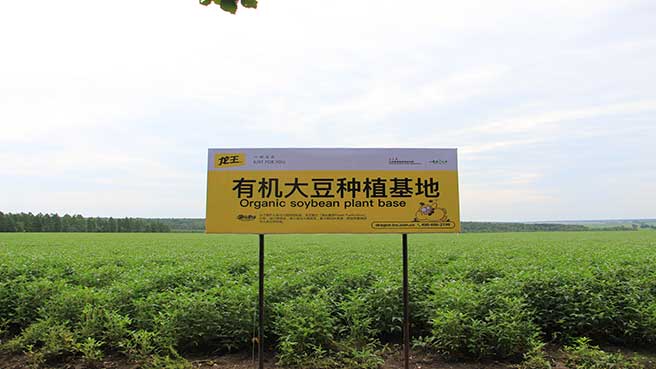 Base de producción de soja